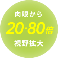 肉眼から20・80倍視野拡大