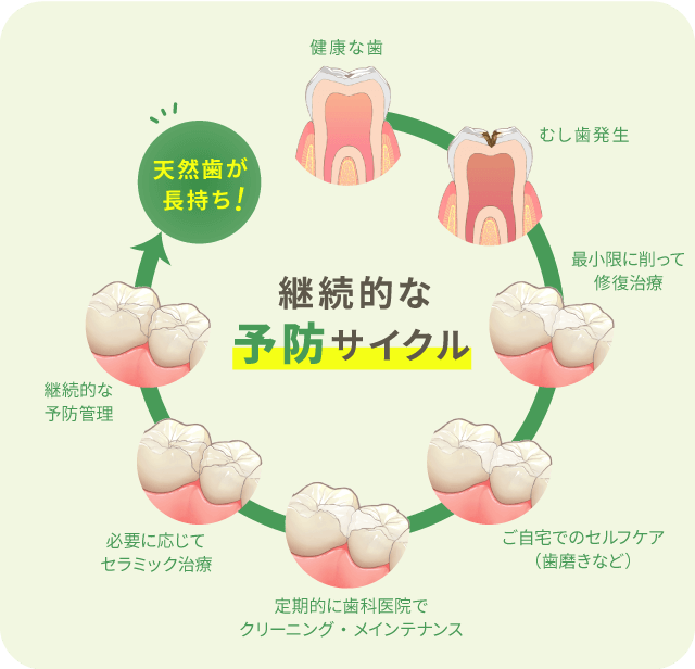 継続的な予防サイクル