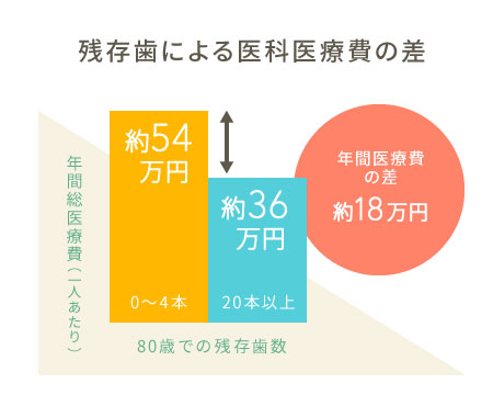 残存歯による医科医療費の差